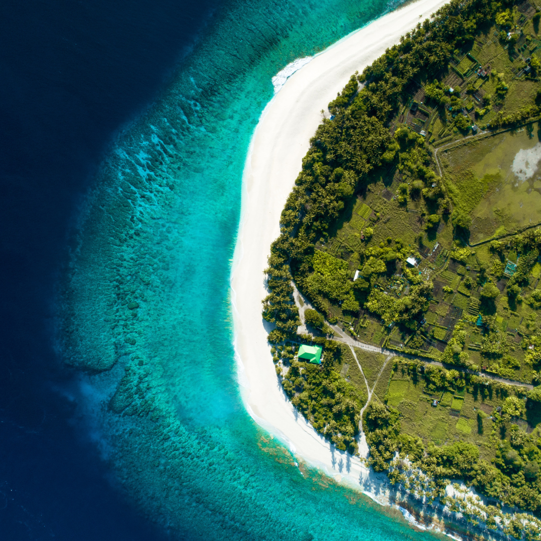 Isla Isabela: El Tesoro Natural de las Galápagos