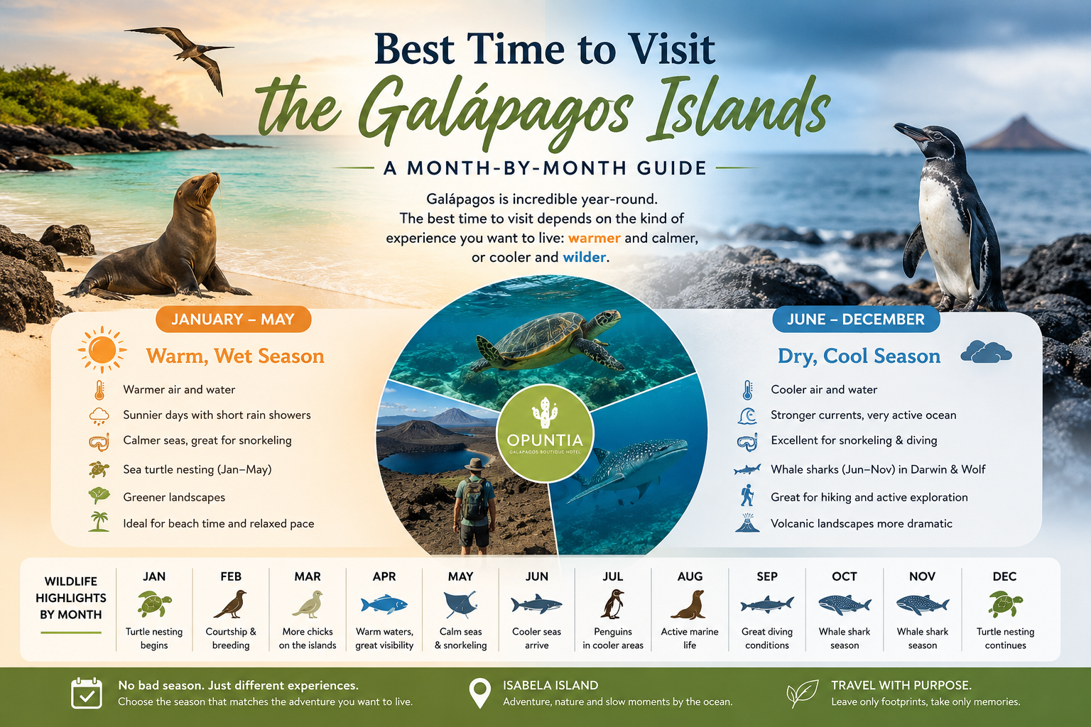 Best Time to Visit the Galápagos Islands: A Month-by-Month Guide